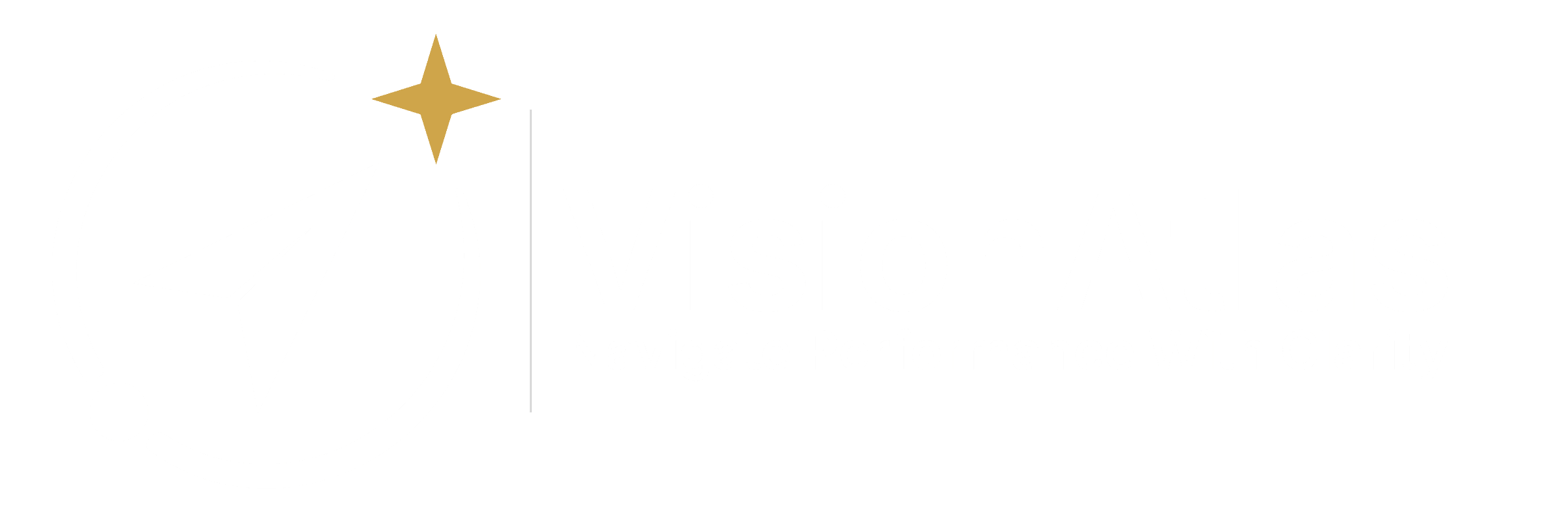 VisionAtlas — Navigate Performance With Clarity